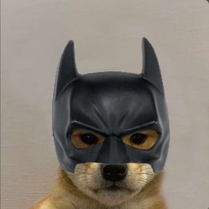 Meet your Posher, Kevin